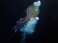   Taking Jelly  
